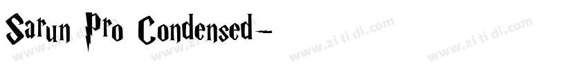 Sarun Pro Condensed字体转换